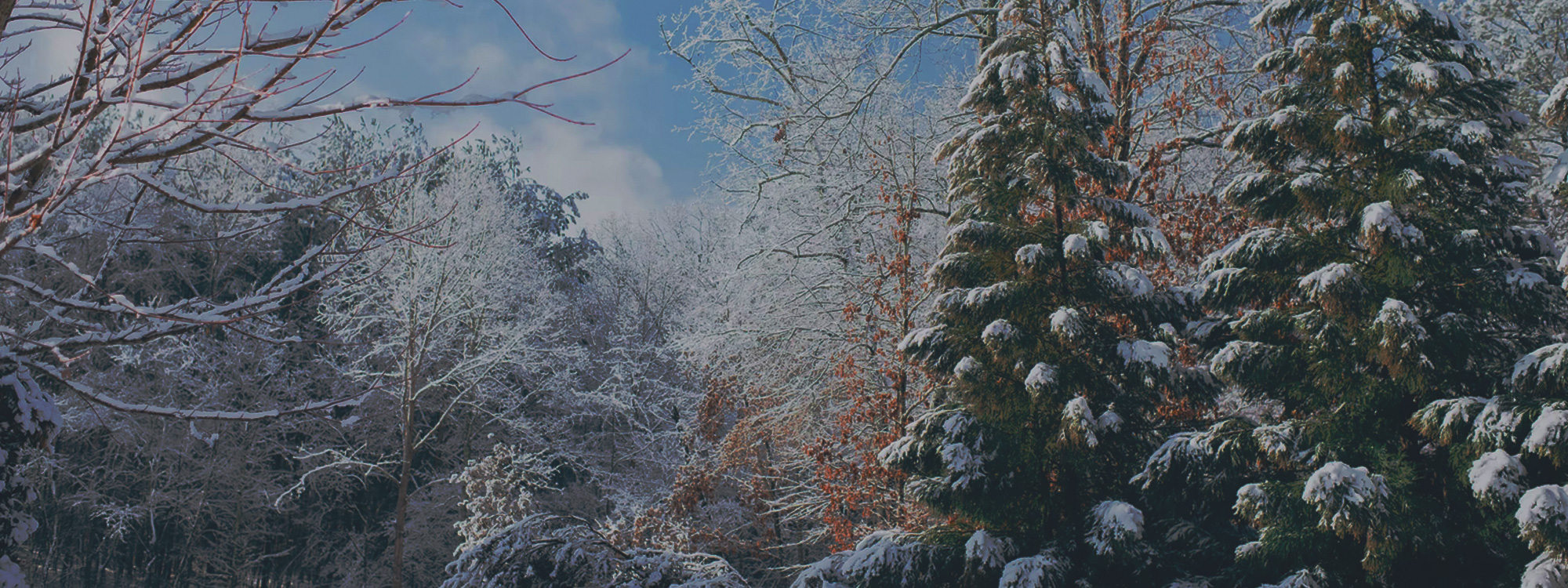 Welcome*A Friendly Community of Believers in Jesus*More about us